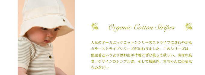 ベビー服dimplesオーガニック　ハーブス