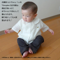 Dimplesモデル