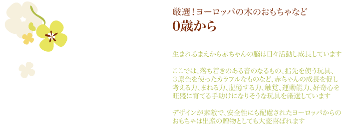 0歳からの木のおもちゃ